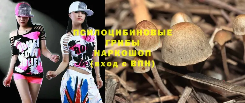 Псилоцибиновые грибы Magic Shrooms  сколько стоит  Павловский Посад 